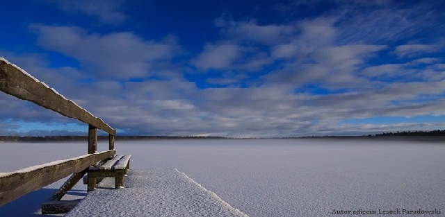 Autor zdjęcia: Leszek Paradowski